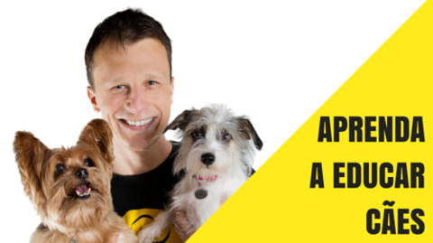 Resultado de imagem para COMO EDUCAR SEU CÃO EM ATÉ 8 SEMANAS